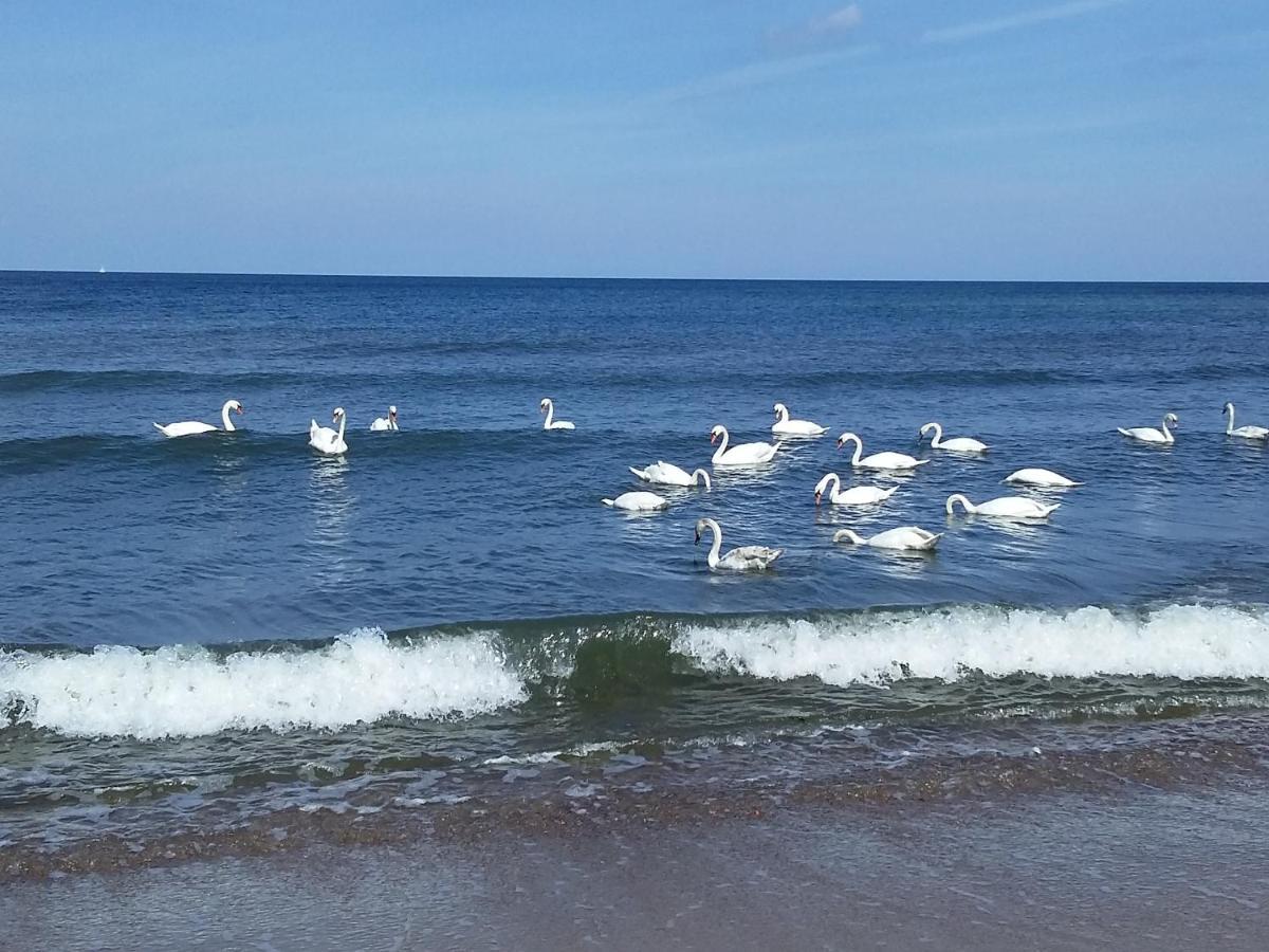 Sea & You Apartament Z Widokiem Na Morze - Dwie Sosny Ustronie Morskie Kültér fotó